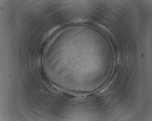 X0000078231161200612011532