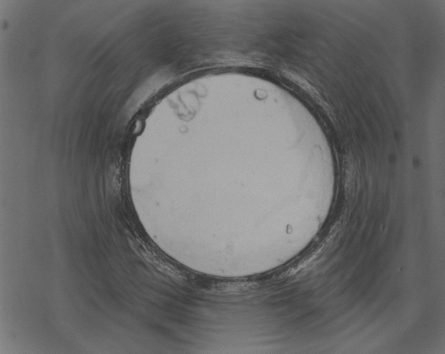 X0000078231163200612011532