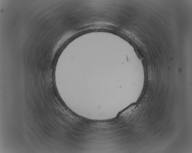 X0000078231164200612011532