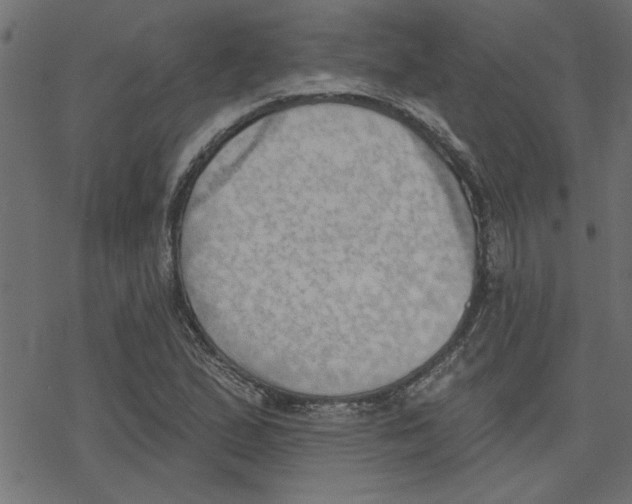 X0000078231167200612011532