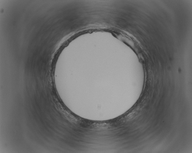 X0000078231168200612011532