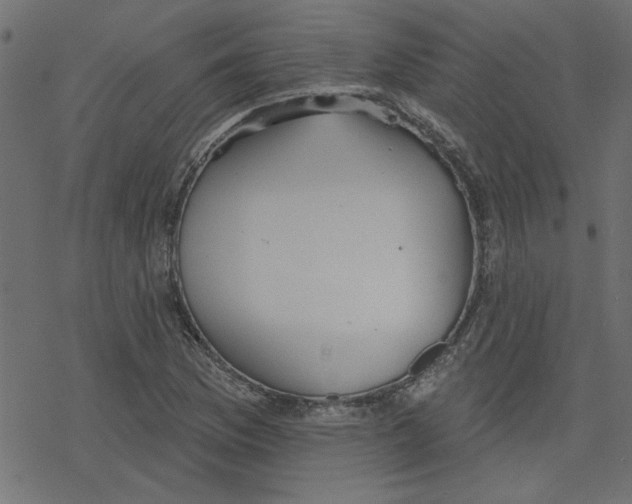 X0000078231169200612011532