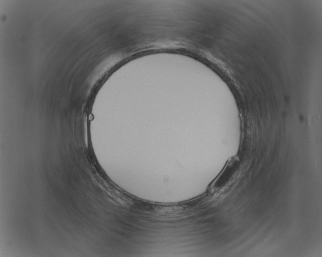 X0000078231171200612011532