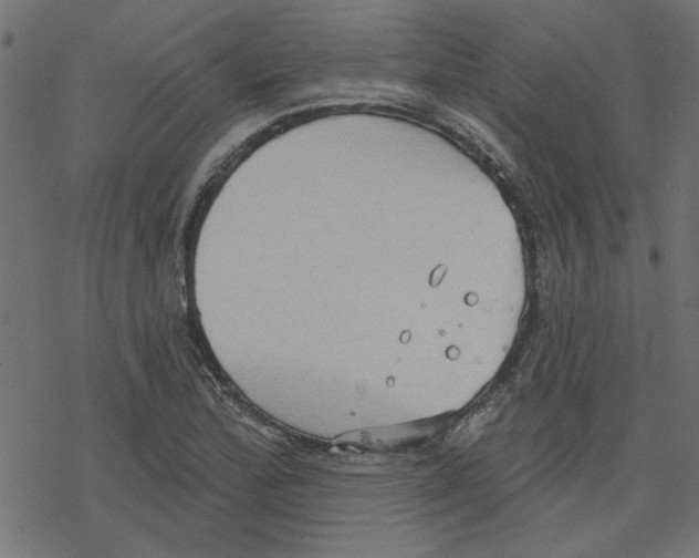 X0000078231172200612011532