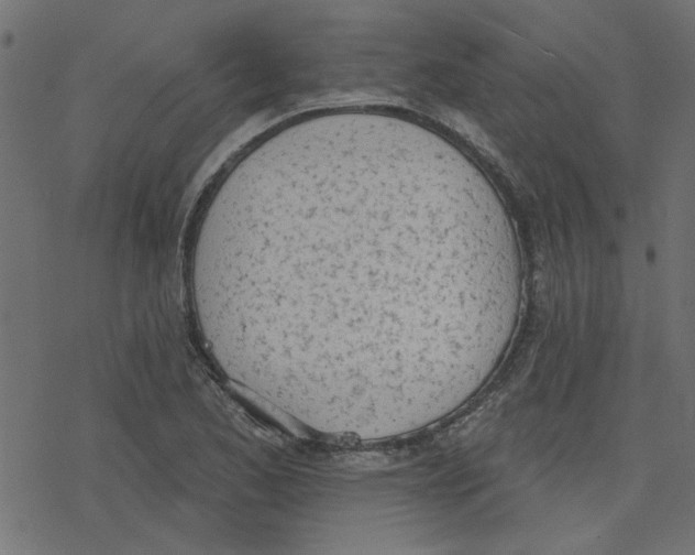 X0000078231173200612011532