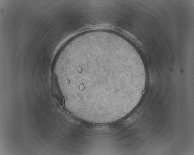 X0000078231174200612011532