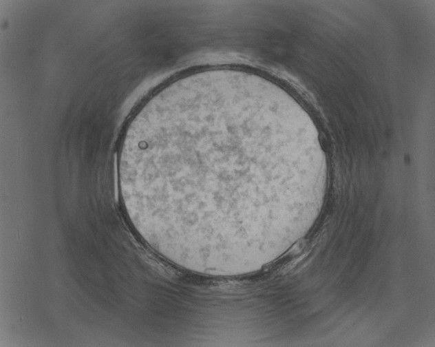 X0000078231175200612011532