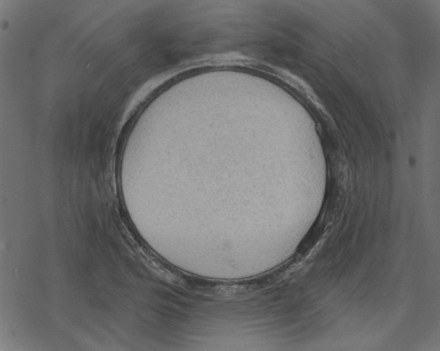 X0000078231176200612011532