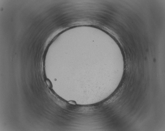 X0000078231179200612011532