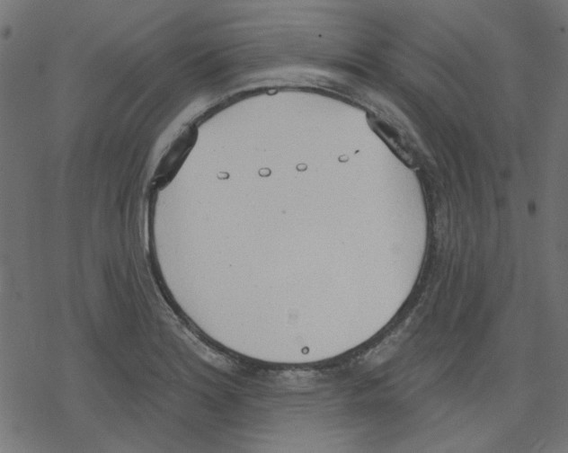 X0000078231180200612011532