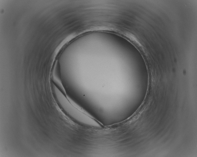 X0000078231181200612011532