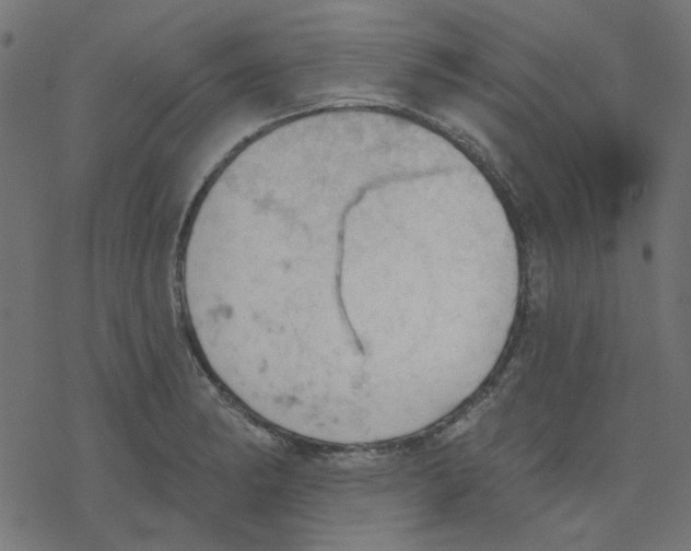 X0000078231182200612011532