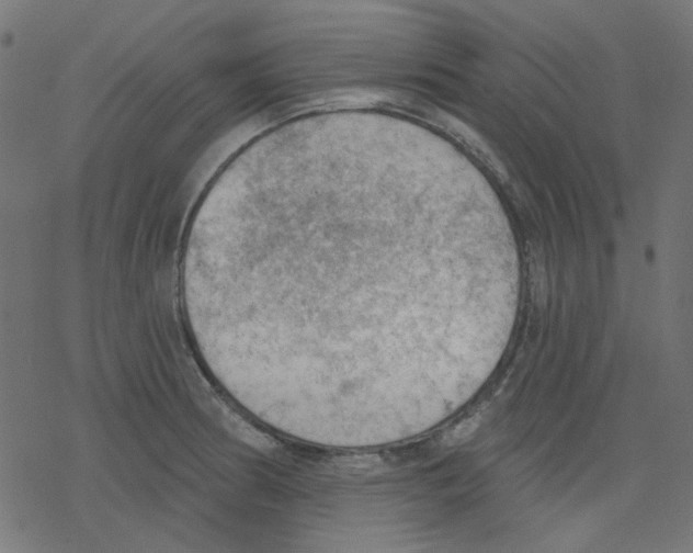 X0000078231186200612011532