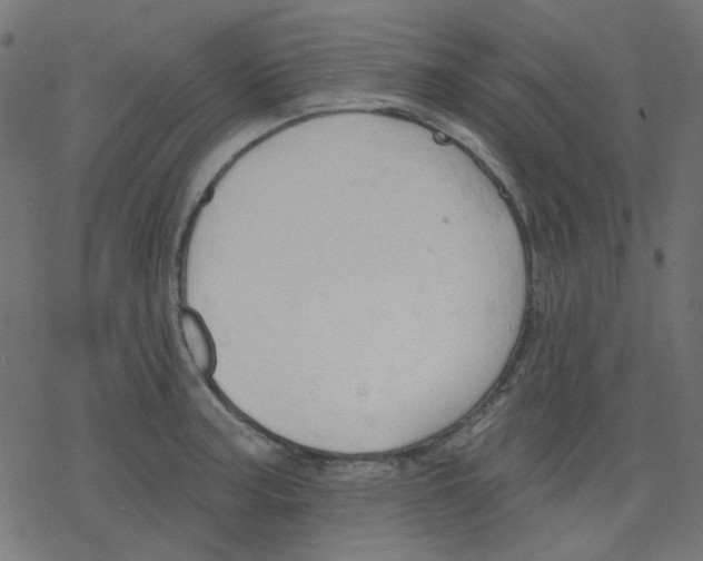 X0000078231187200612011532