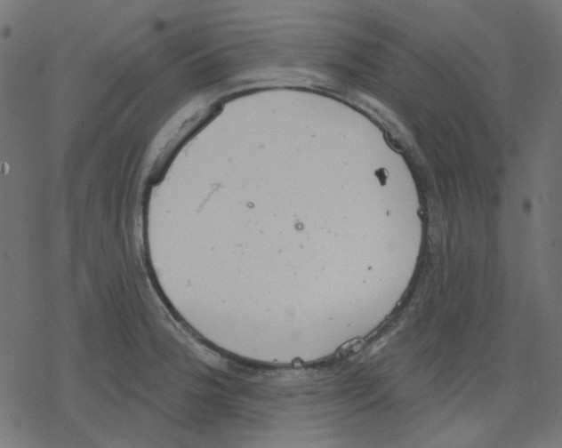 X0000078231188200612011532