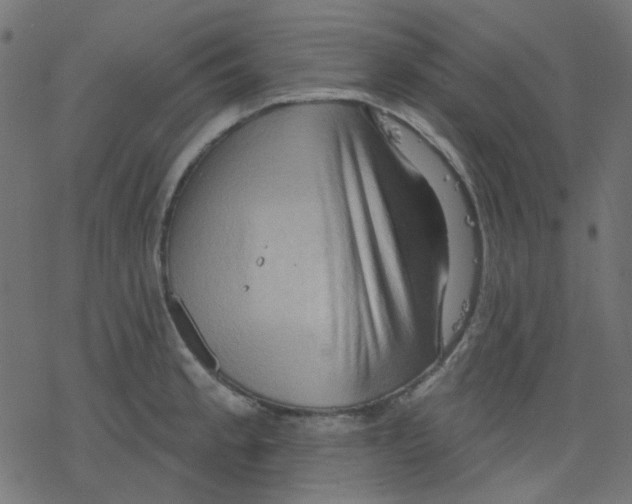 X0000078231189200612011532