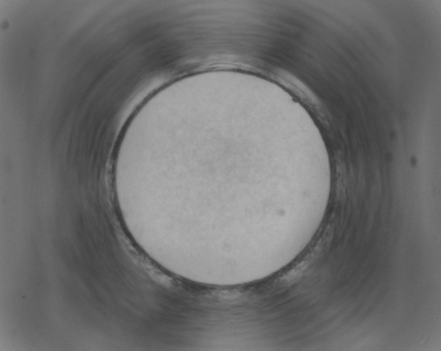 X0000078231190200612011532