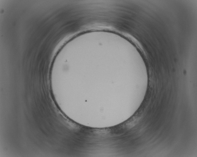 X0000078231191200612011532