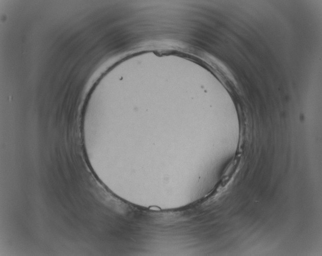 X0000078231192200612011532