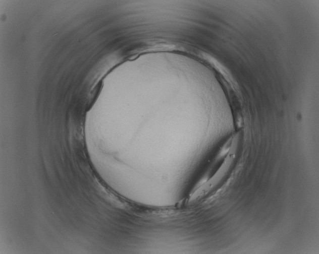 X0000078231193200612011532