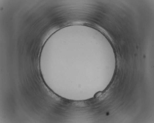 X0000078231194200612011532