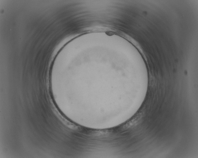 X0000078231195200612011532