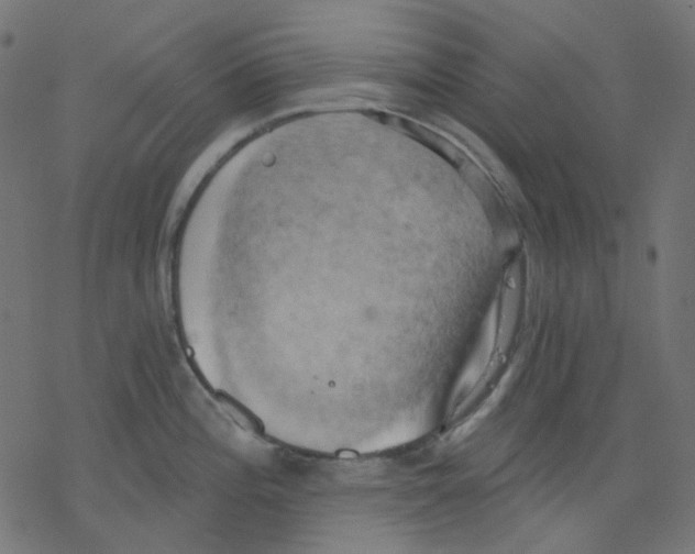 X0000078231196200612011532