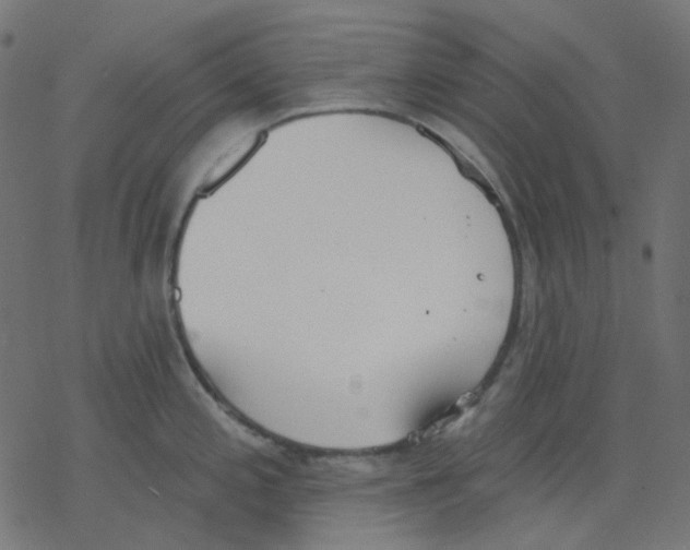 X0000078231197200612011532