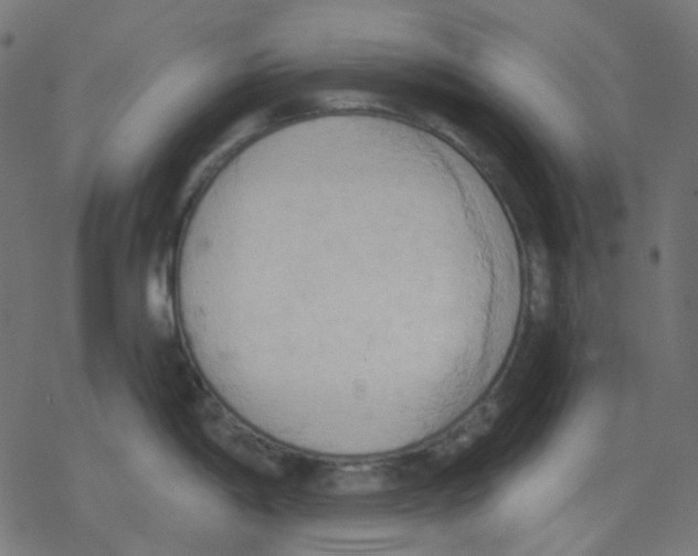 X0000078231198200612011532