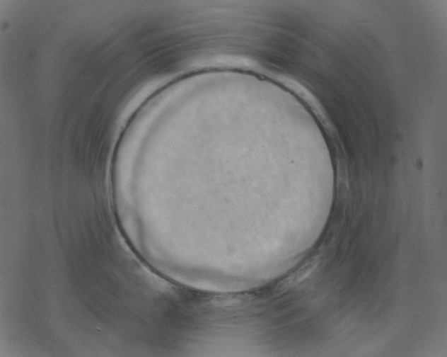 X0000078231199200612011532