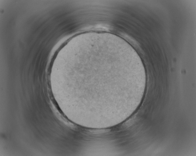 X0000078231200200612011532