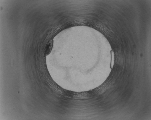 X0000078231201200612011531