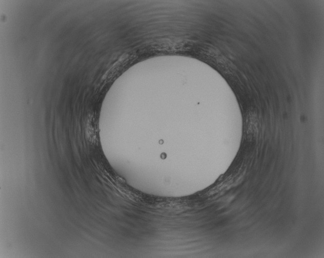 X0000078231202200612011531