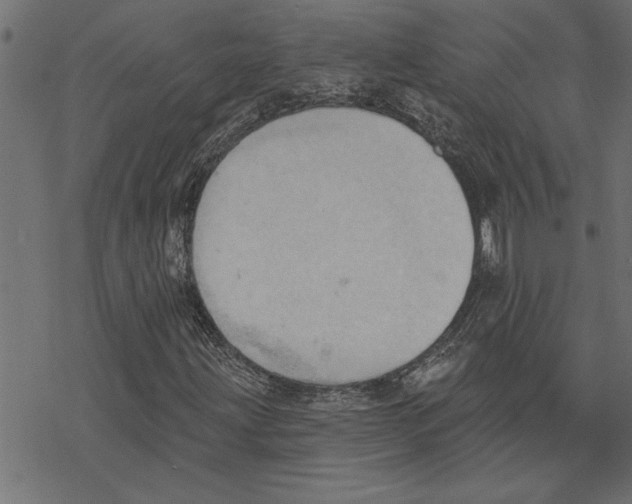 X0000078231203200612011531