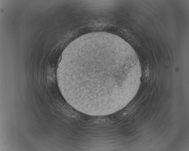 X0000078231204200612011531