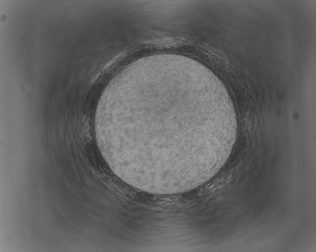 X0000078231205200612011531