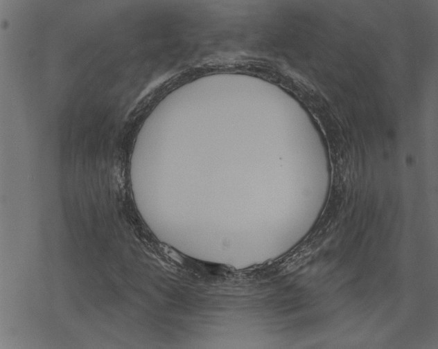 X0000078231206200612011531