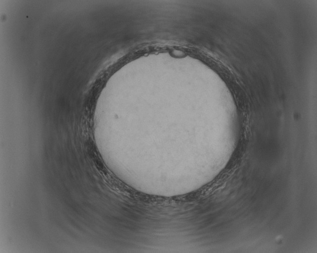 X0000078231207200612011531