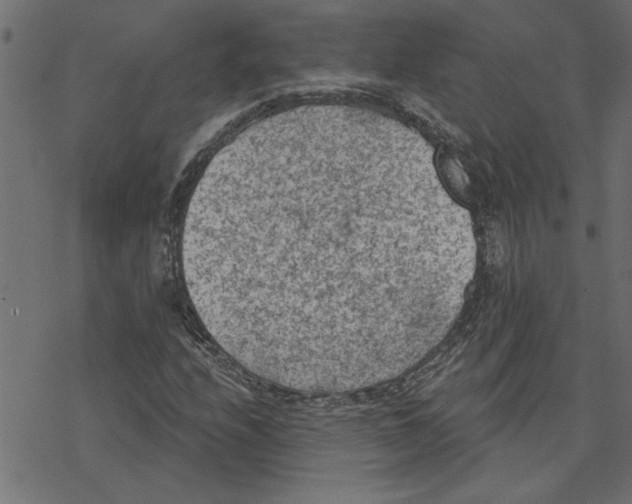 X0000078231208200612011531