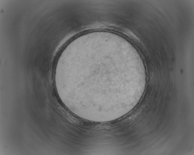 X0000078231216200612011531