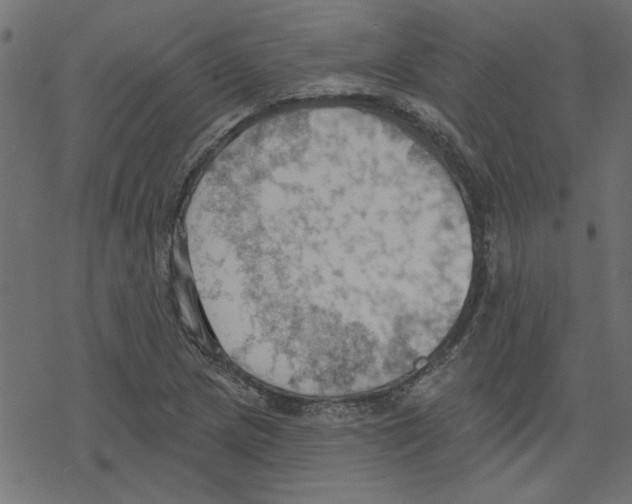 X0000078231217200612011531