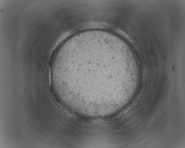 X0000078231219200612011531