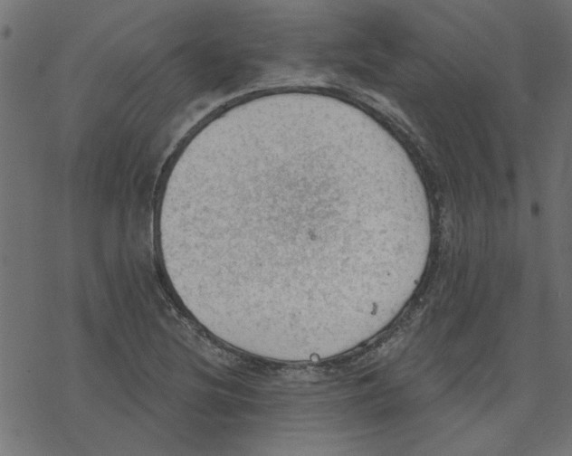 X0000078231220200612011531