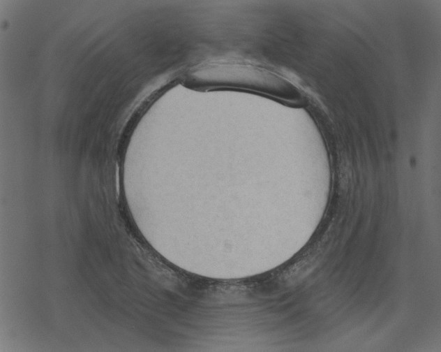 X0000078231221200612011531