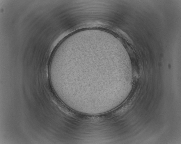 X0000078231226200612011531