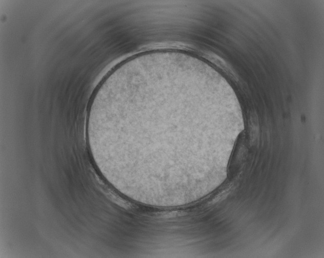 X0000078231228200612011531