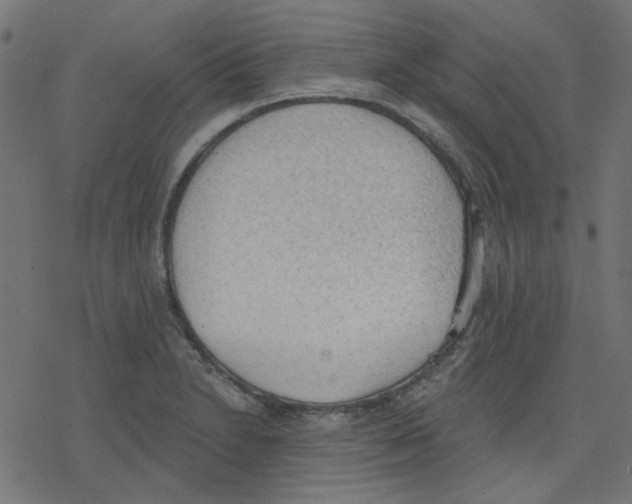 X0000078231230200612011532