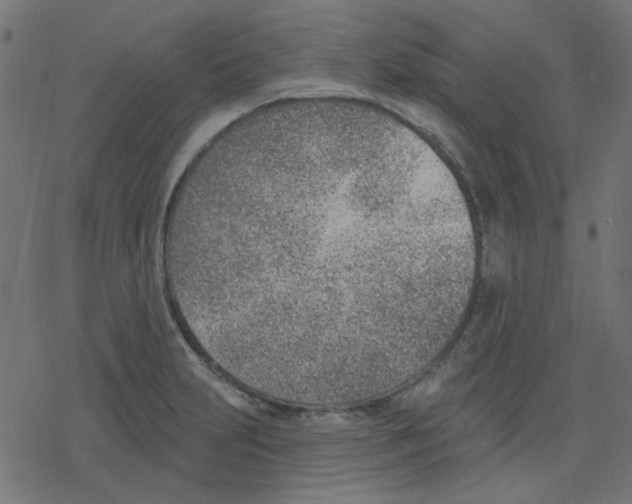 X0000078231231200612011532