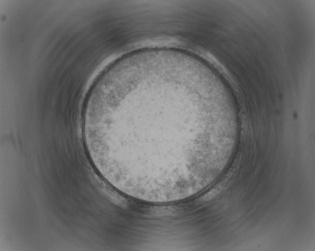 X0000078231232200612011532