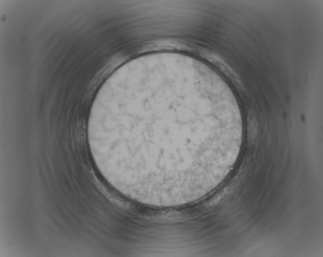 X0000078231233200612011532